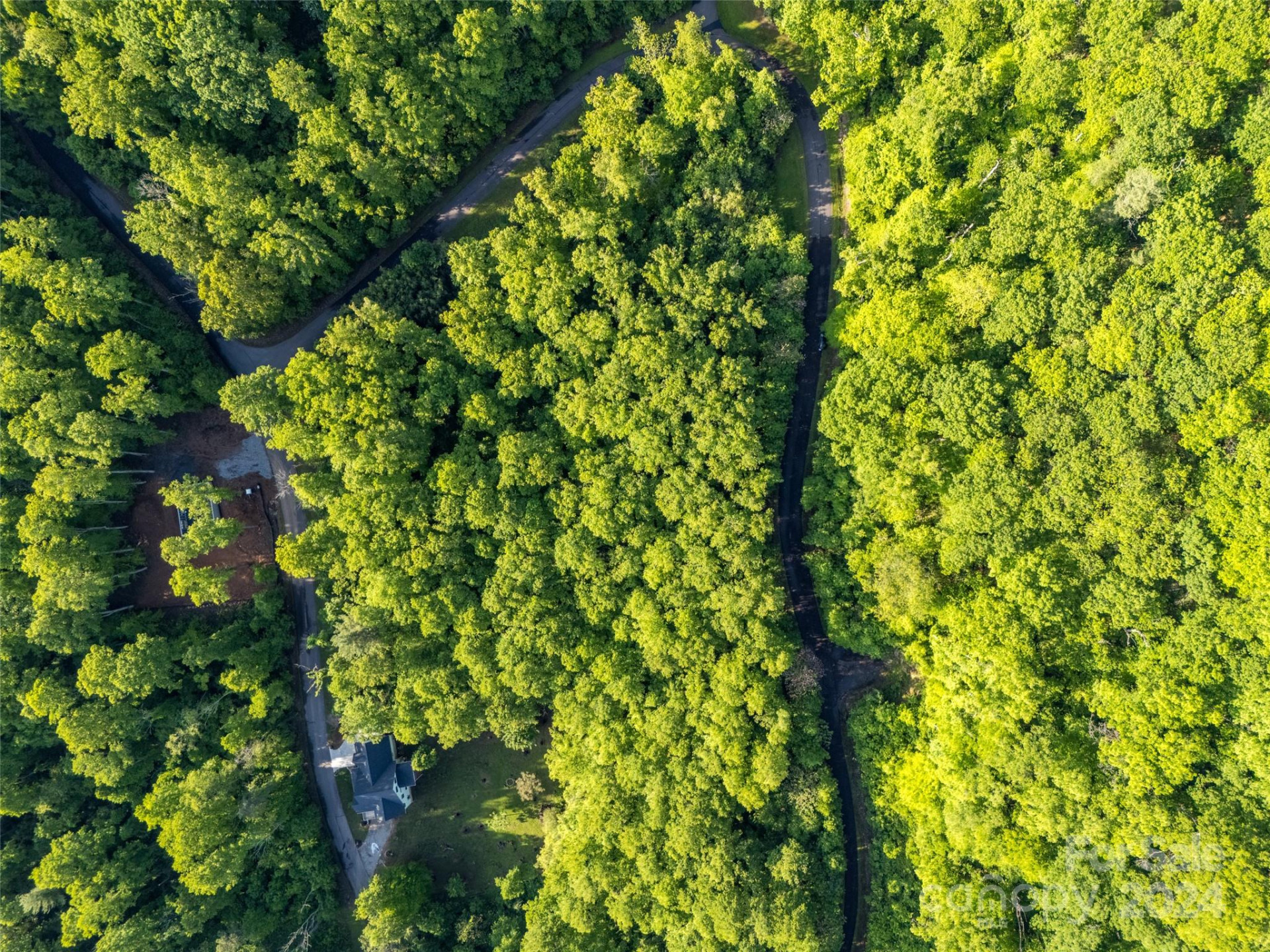 37 Ashewood Mountain Way - Photo 5