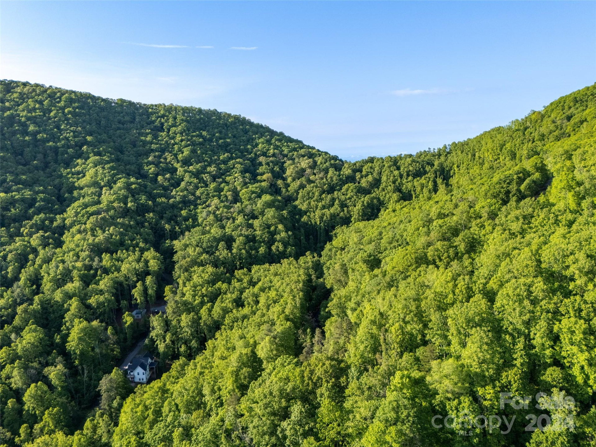 37 Ashewood Mountain Way - Photo 6