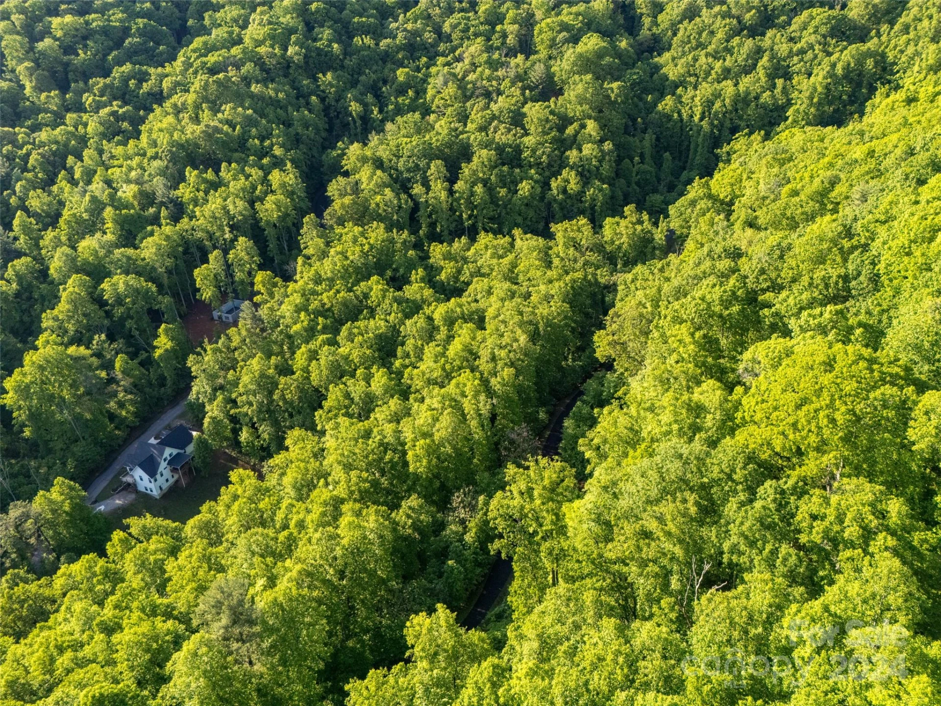 37 Ashewood Mountain Way - Photo 7