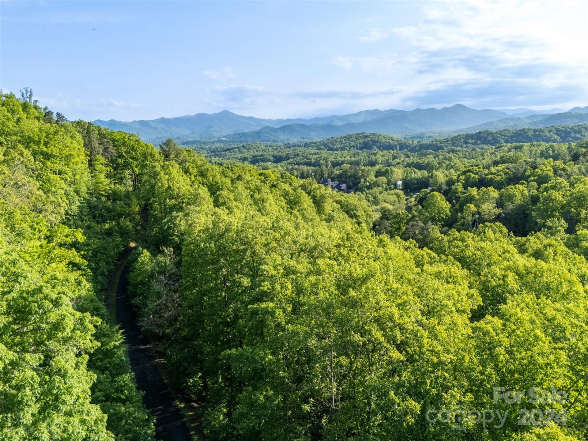 37 Ashewood Mountain Way - Photo 8