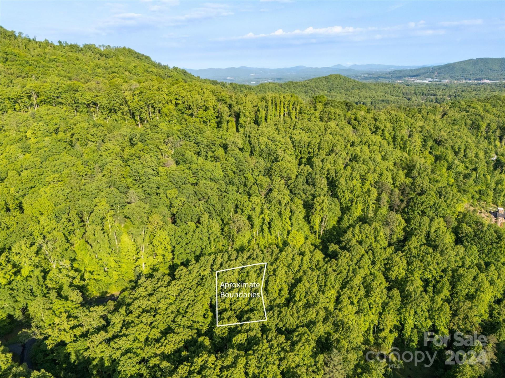 37 Ashewood Mountain Way - Photo 10
