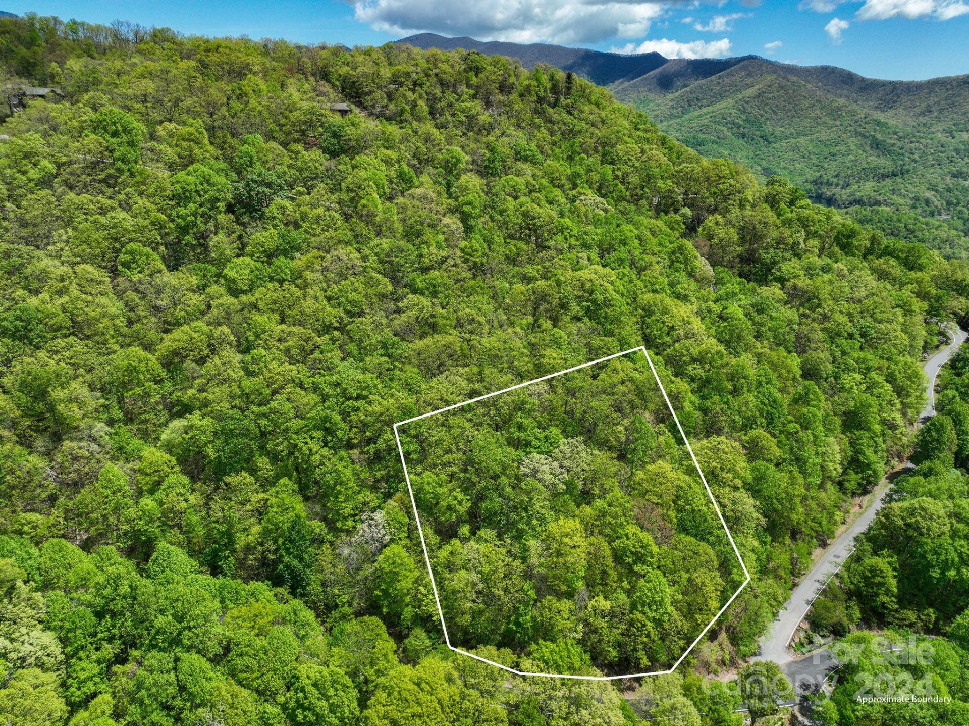 99999 Winding Poplar Road #909 - Photo 11