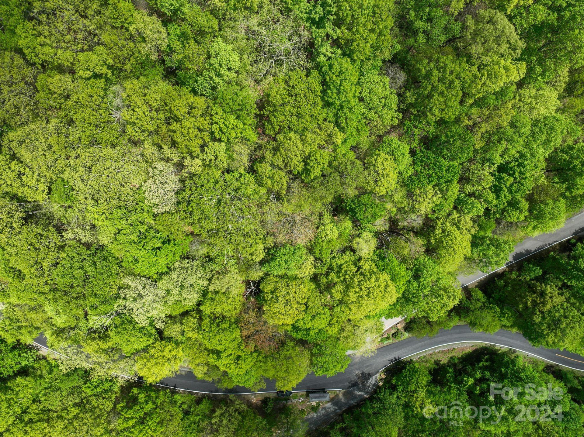 99999 Winding Poplar Road #909 - Photo 12