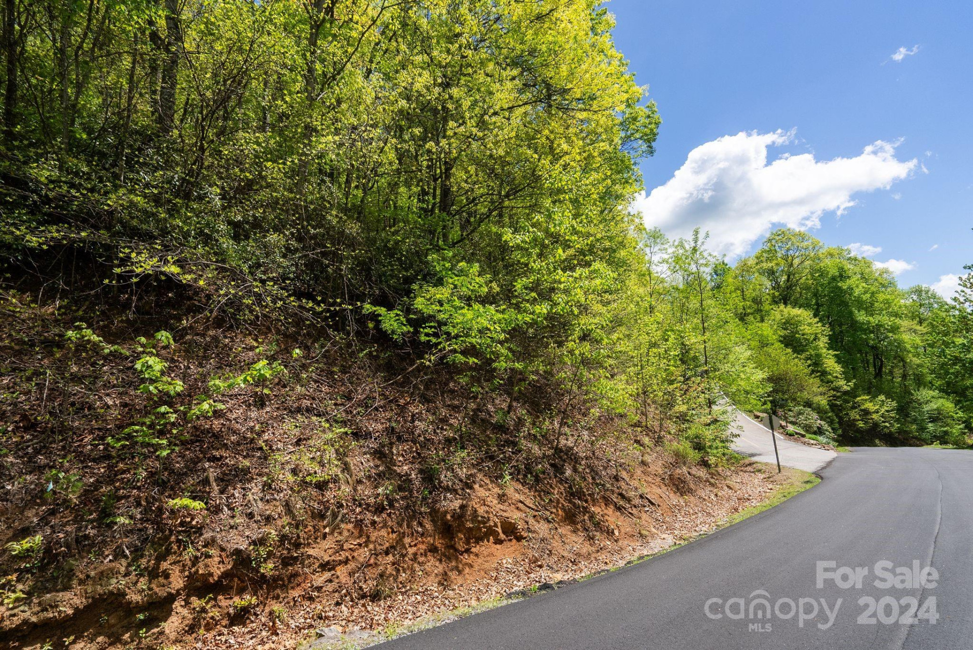 99999 Winding Poplar Road #909 - Photo 13