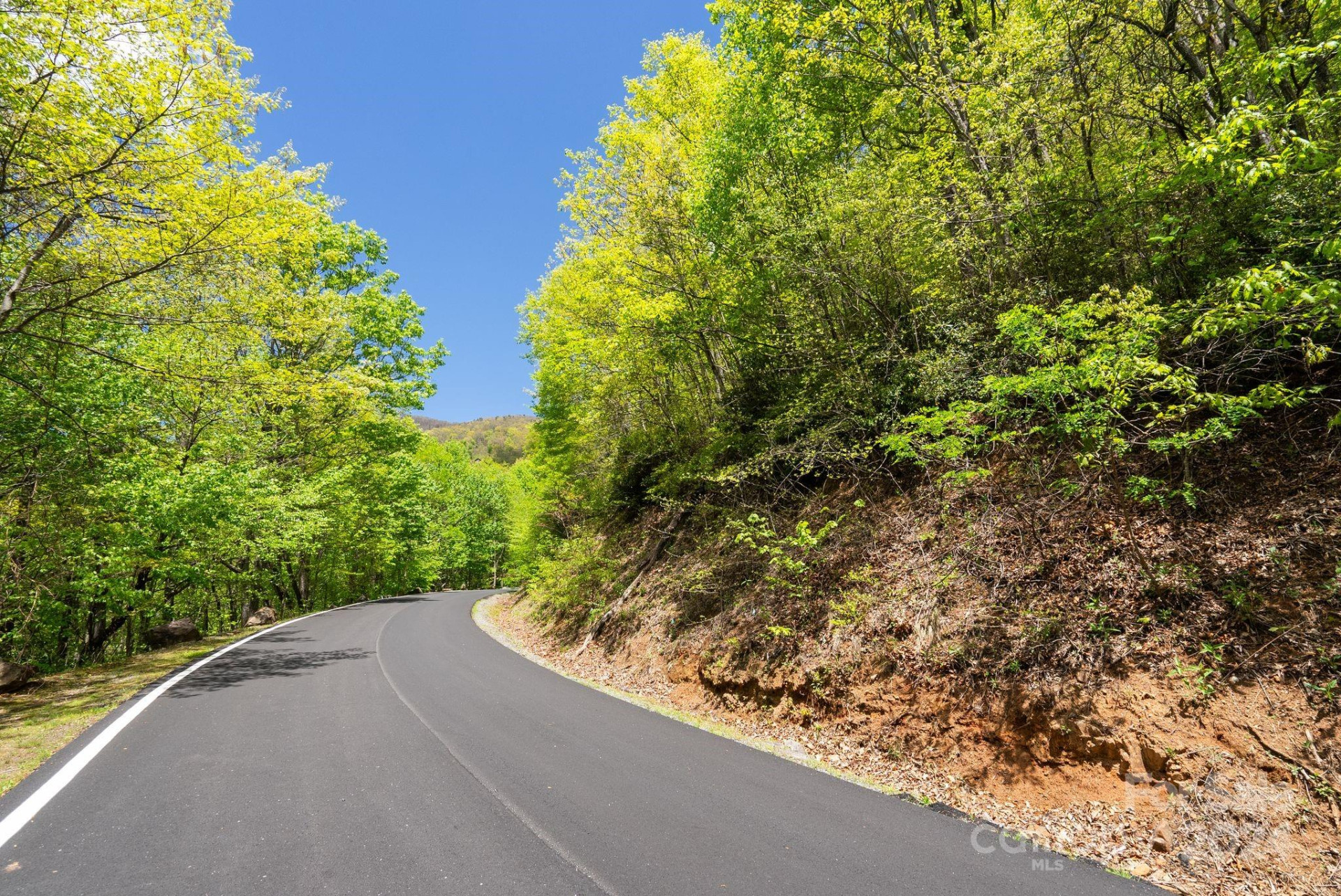 99999 Winding Poplar Road #909 - Photo 14