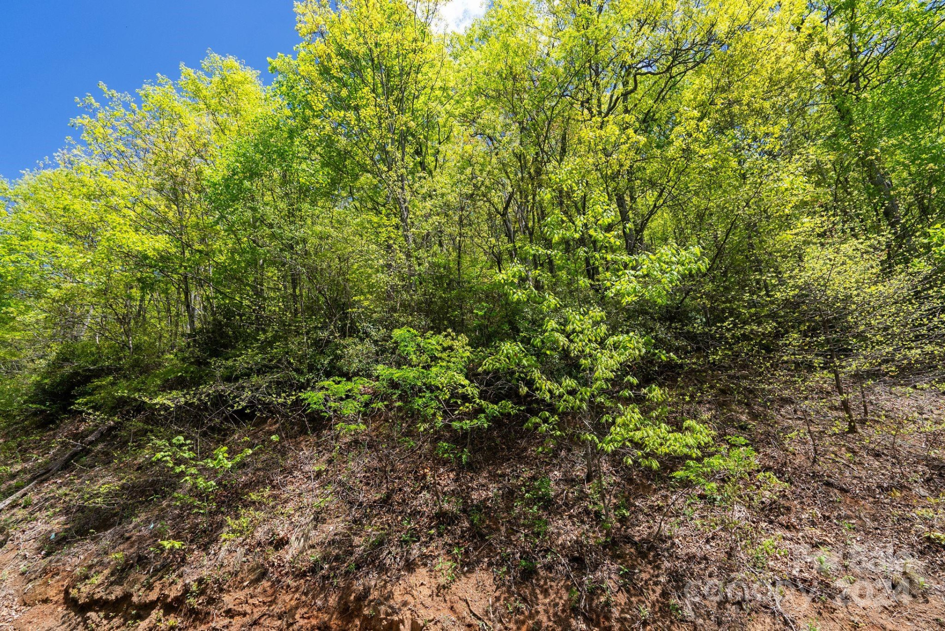 99999 Winding Poplar Road #909 - Photo 15