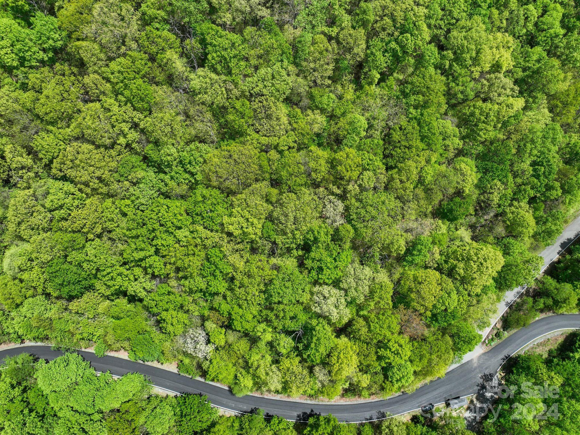 99999 Winding Poplar Road #909 - Photo 16