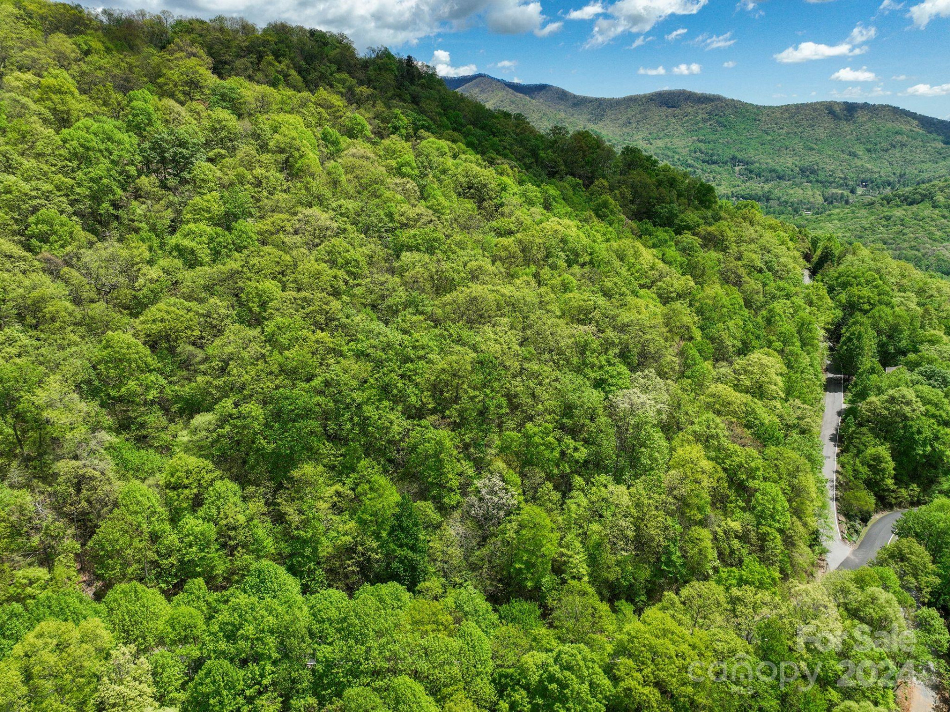 99999 Winding Poplar Road #909 - Photo 18