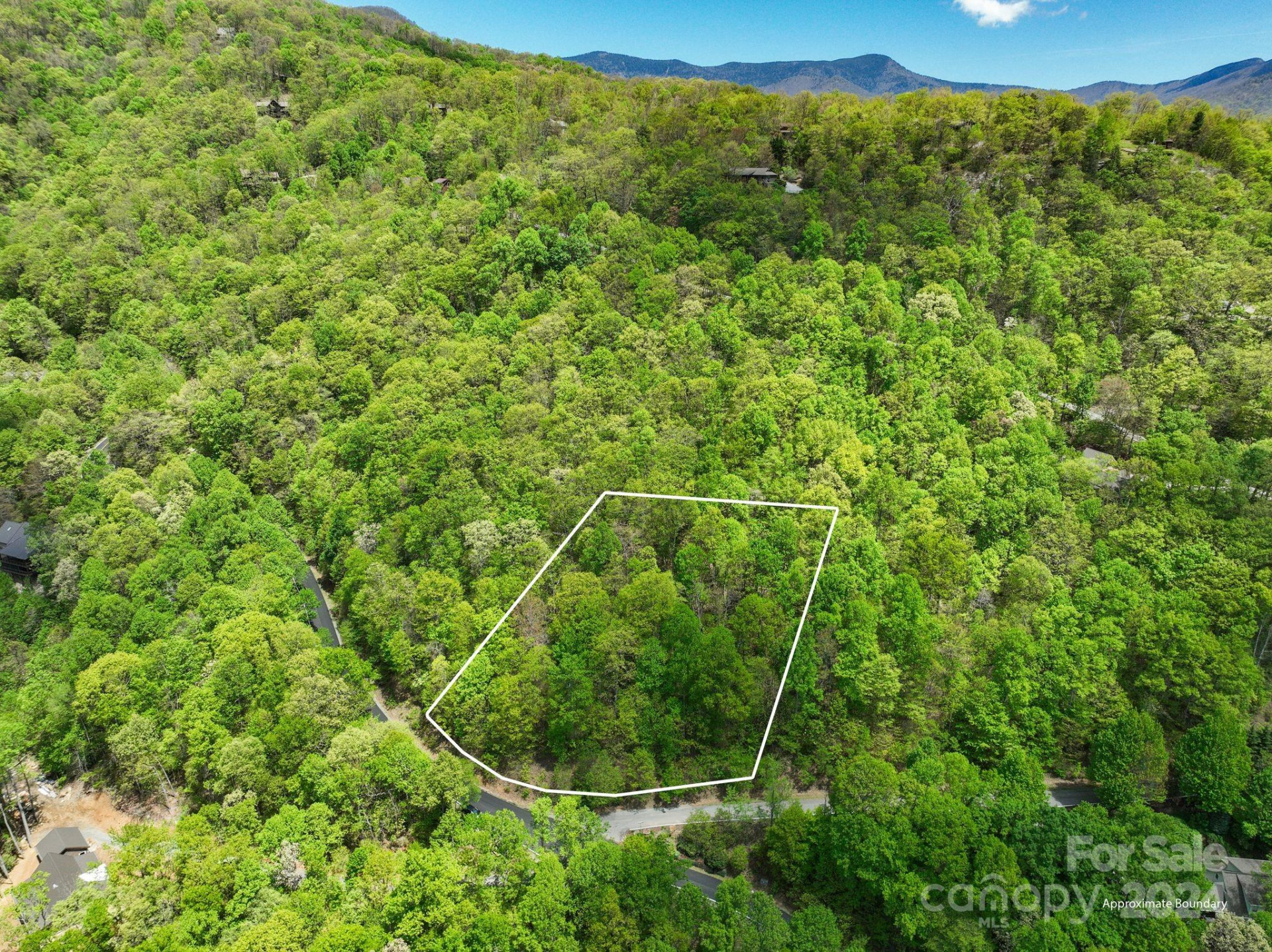 99999 Winding Poplar Road #909 - Photo 19