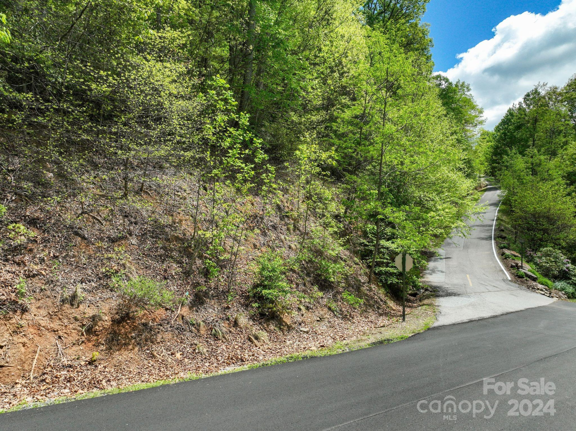 99999 Winding Poplar Road #909 - Photo 3