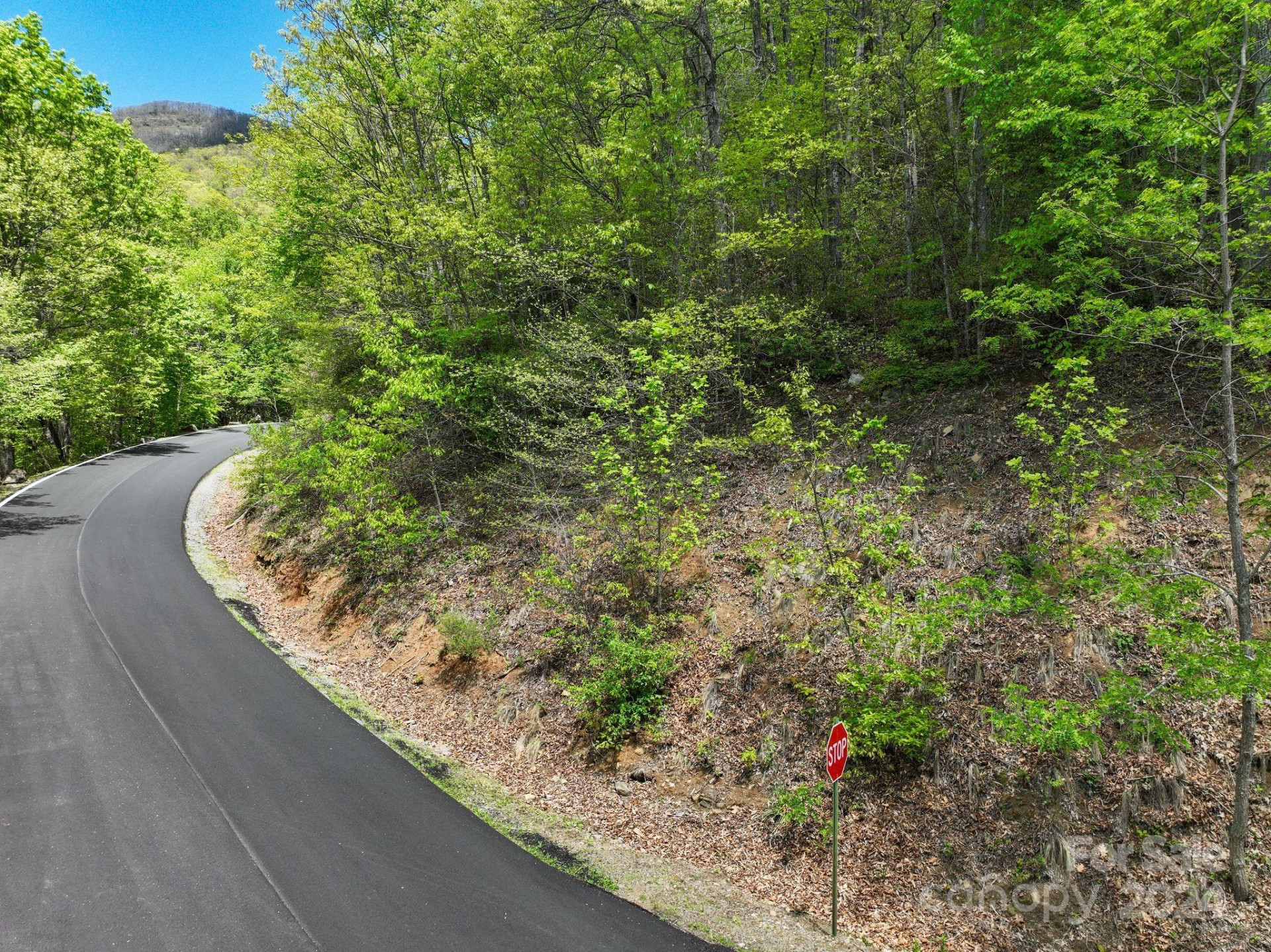 99999 Winding Poplar Road #909 - Photo 4