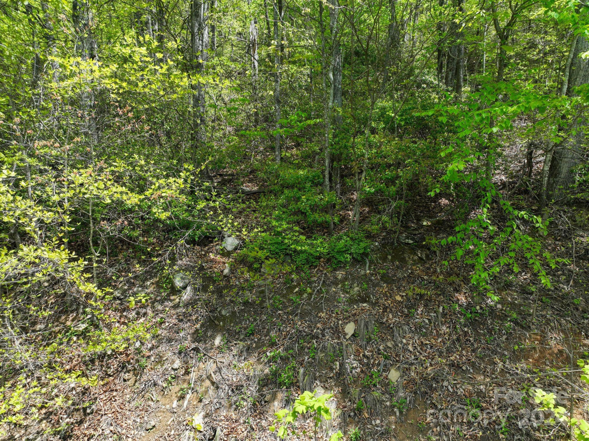 99999 Winding Poplar Road #909 - Photo 5