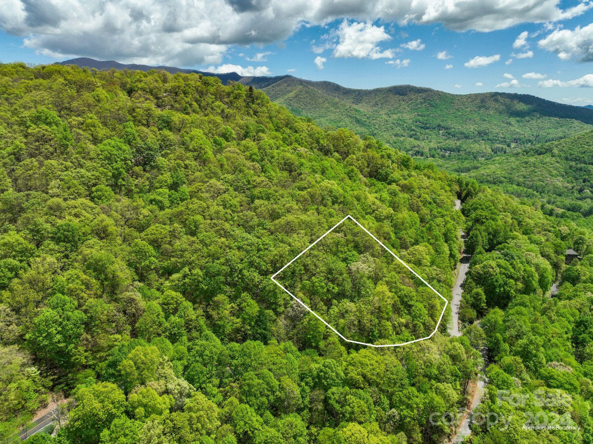 99999 Winding Poplar Road #909 - Photo 6