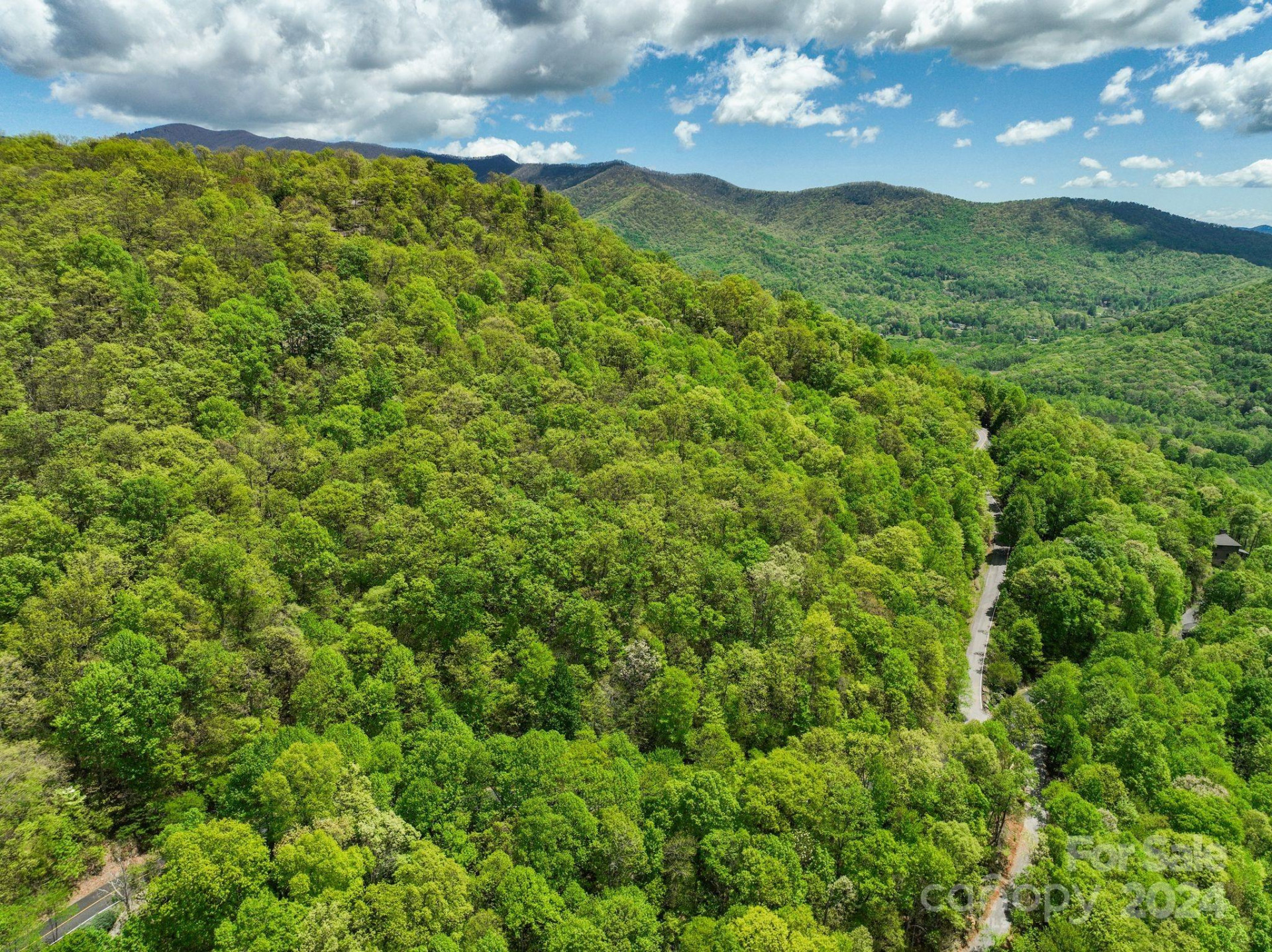 99999 Winding Poplar Road #909 - Photo 7