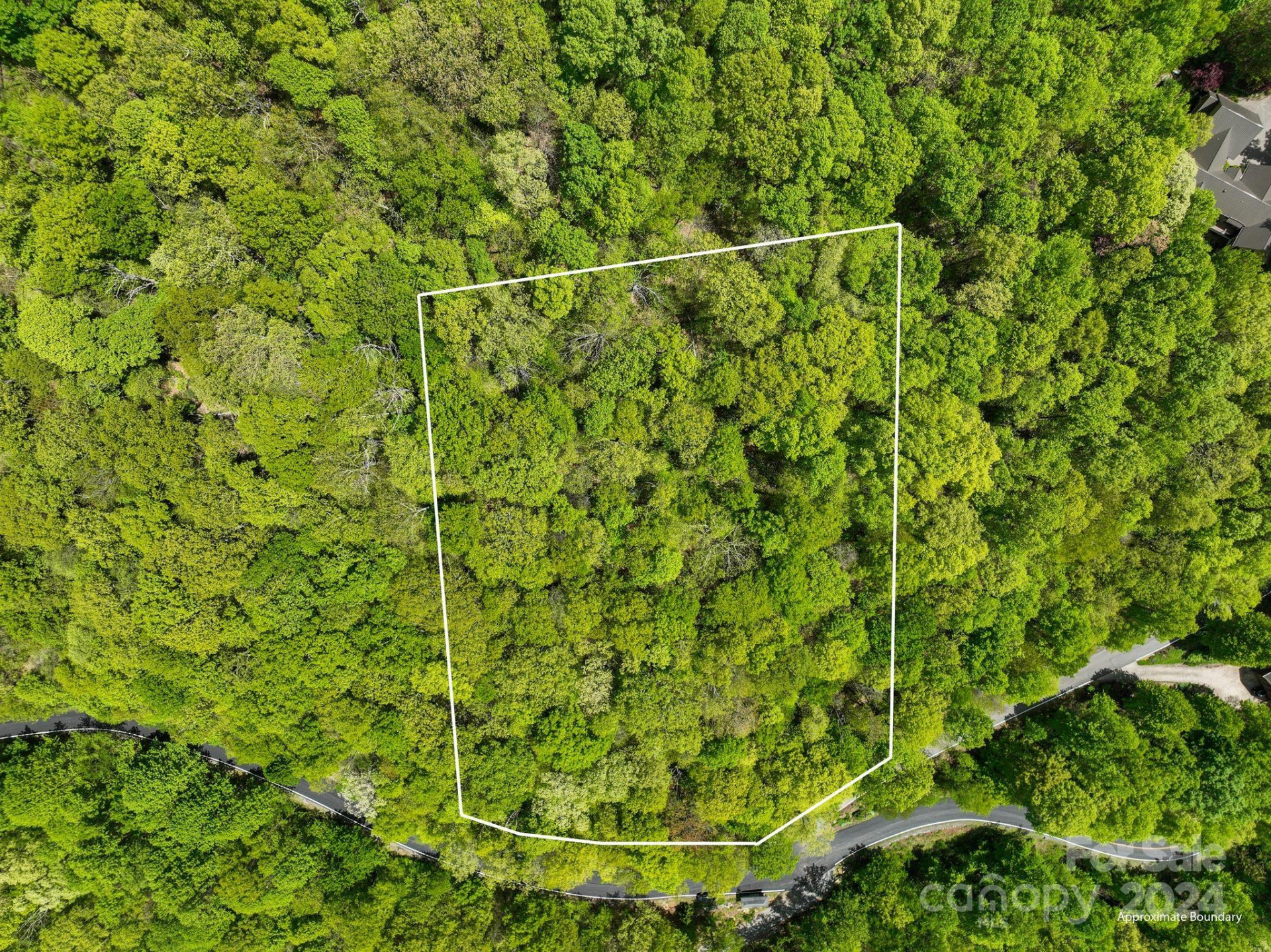 99999 Winding Poplar Road #909 - Photo 8