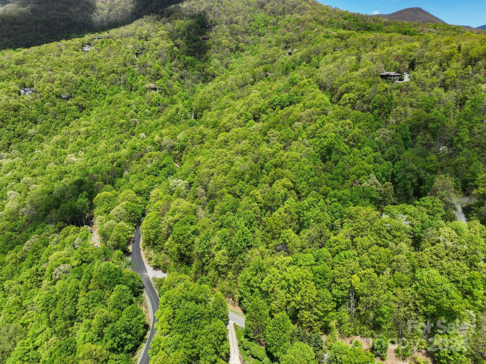 99999 Winding Poplar Road #909 - Photo 10