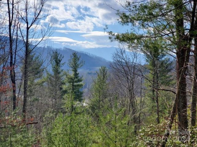 00 Elkins Road, Bakersville, NC, 28705