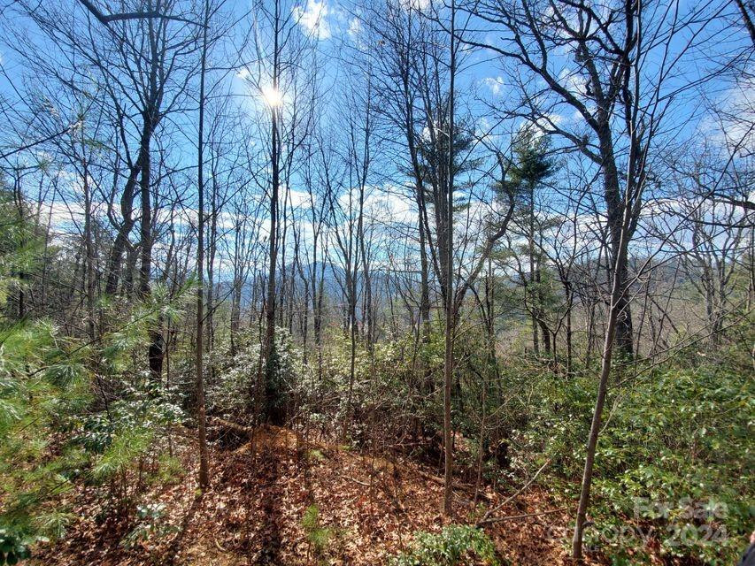 00 Elkins Road #20 - Photo 14