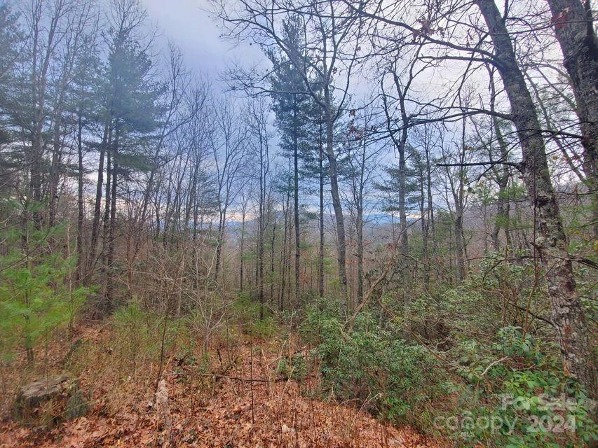 00 Elkins Road #20 - Photo 15