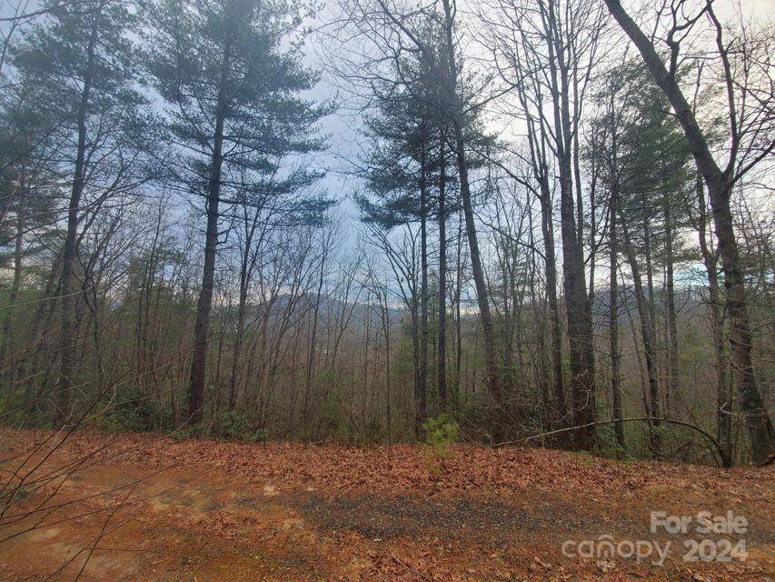 00 Elkins Road #20 - Photo 16