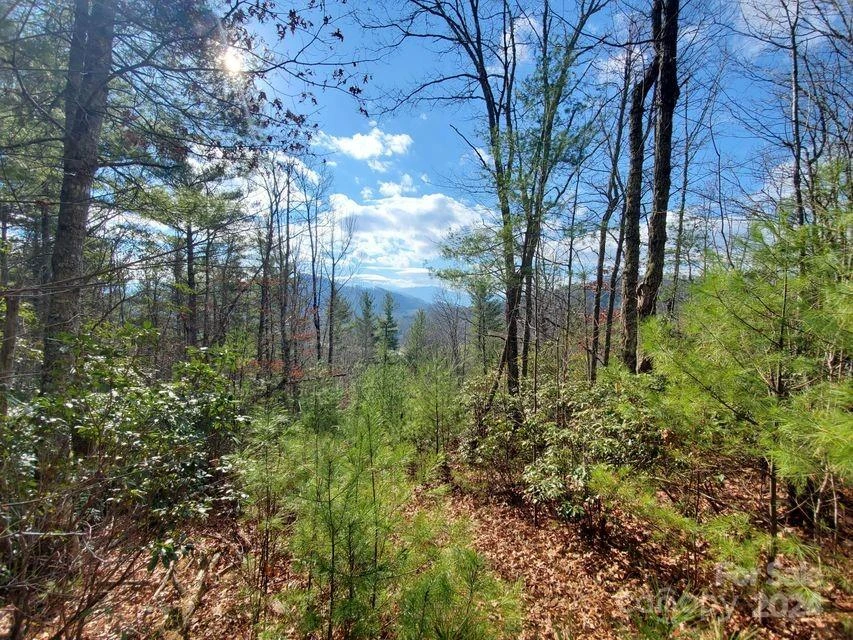 00 Elkins Road #20 - Photo 17