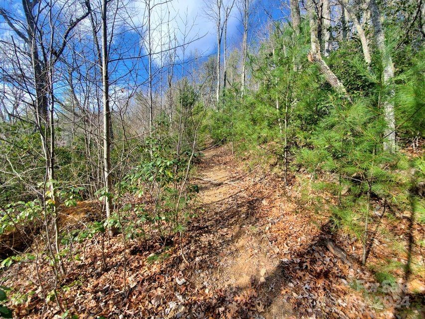 00 Elkins Road #20 - Photo 18