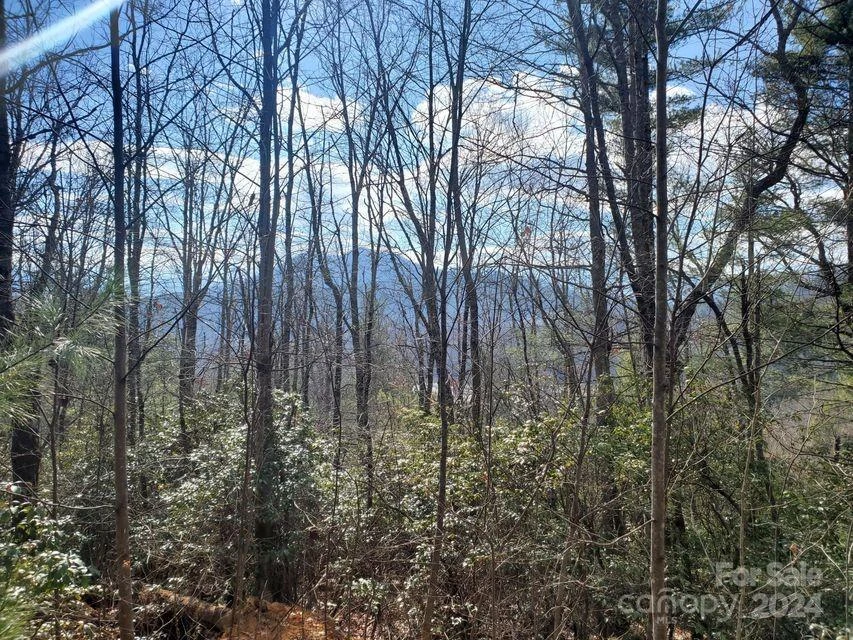 00 Elkins Road #20 - Photo 19