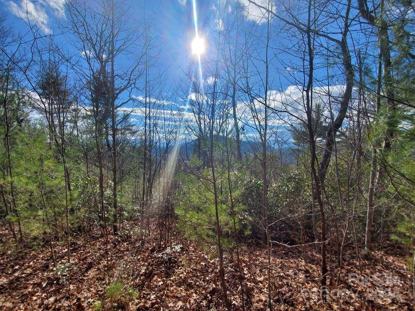 00 Elkins Road #20 - Photo 20