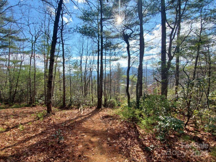 00 Elkins Road #20 - Photo 21