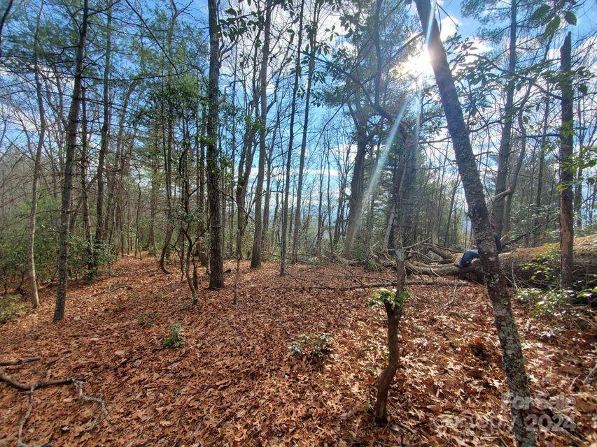 00 Elkins Road #20 - Photo 24