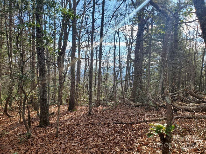 00 Elkins Road #20 - Photo 25