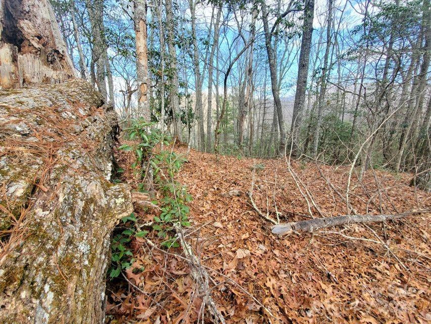 00 Elkins Road #20 - Photo 28