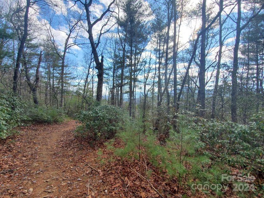 00 Elkins Road #20 - Photo 29