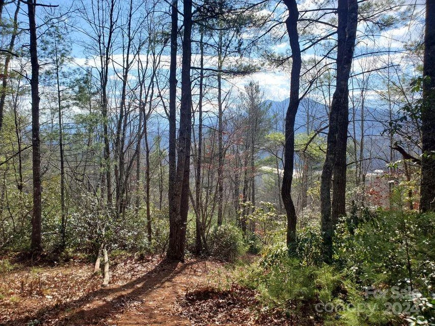 00 Elkins Road #20 - Photo 35