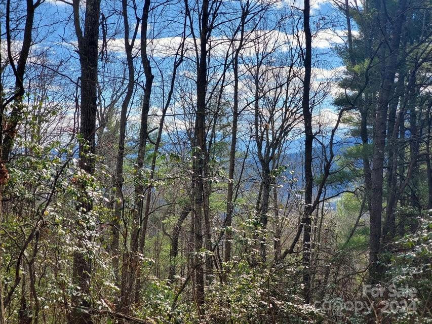 00 Elkins Road #20 - Photo 37