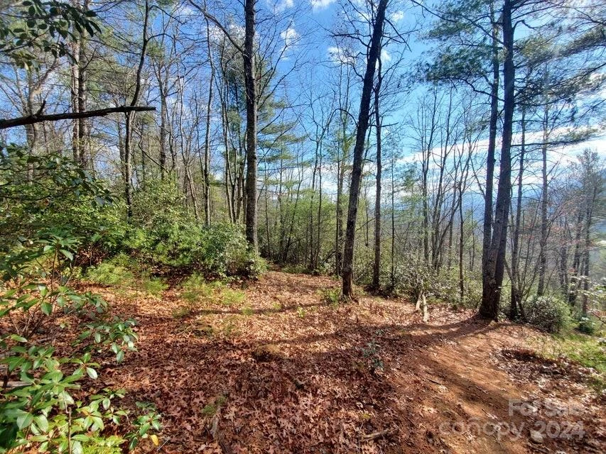 00 Elkins Road #20 - Photo 5