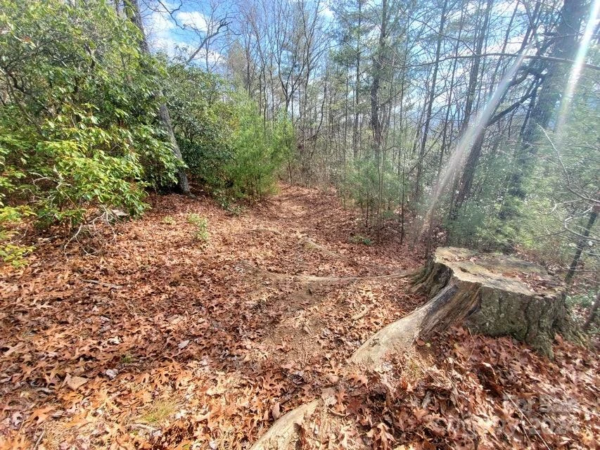 00 Elkins Road #20 - Photo 7
