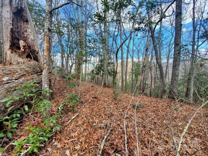 00 Elkins Road #20 - Photo 8