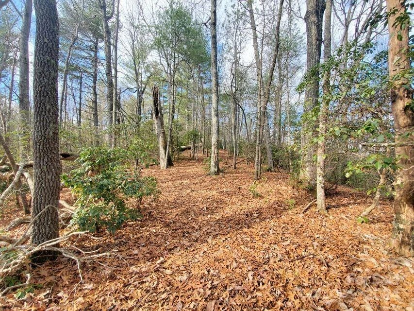 00 Elkins Road #20 - Photo 10