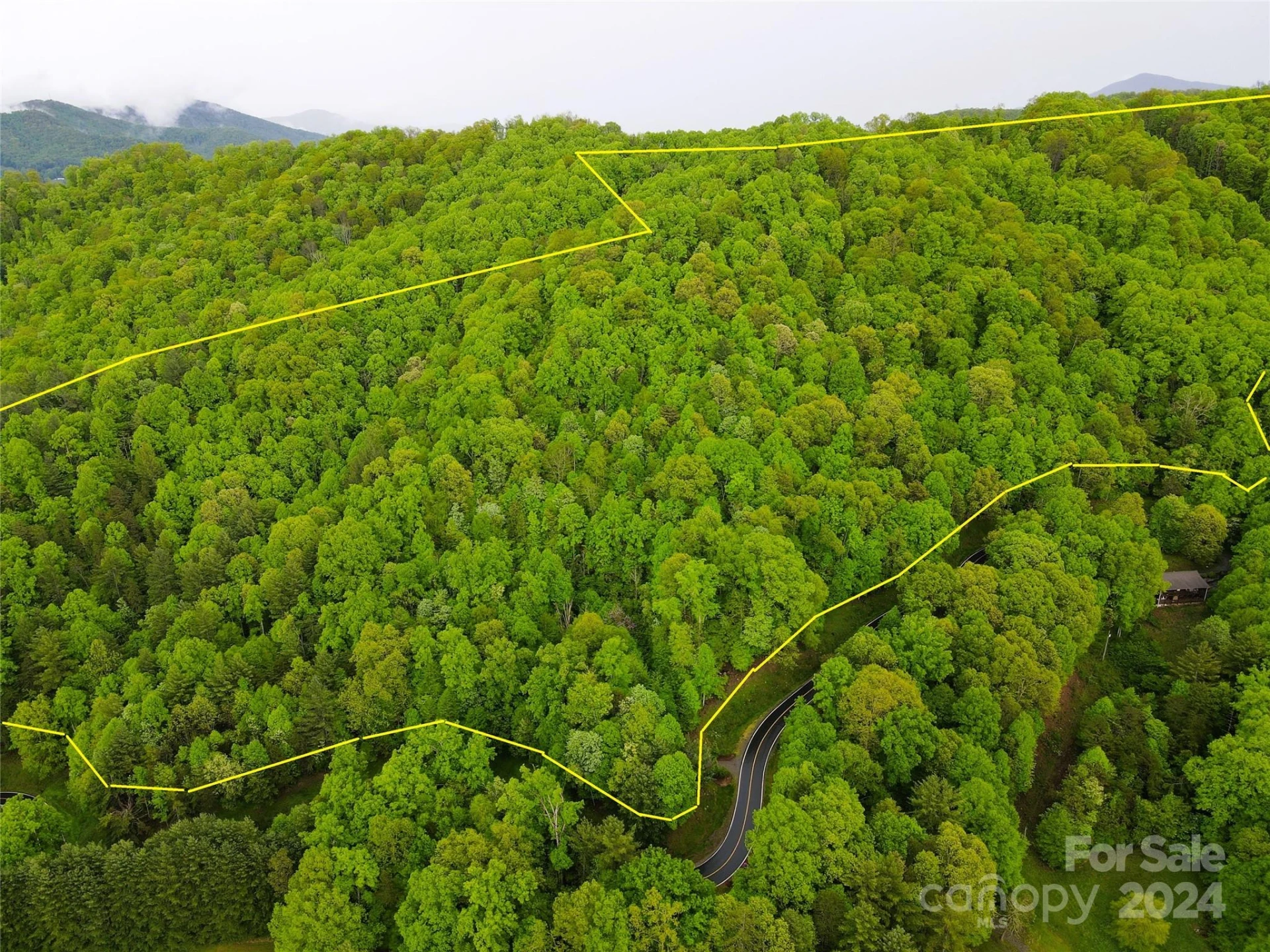 000 Mountain Air Drive - Photo 2