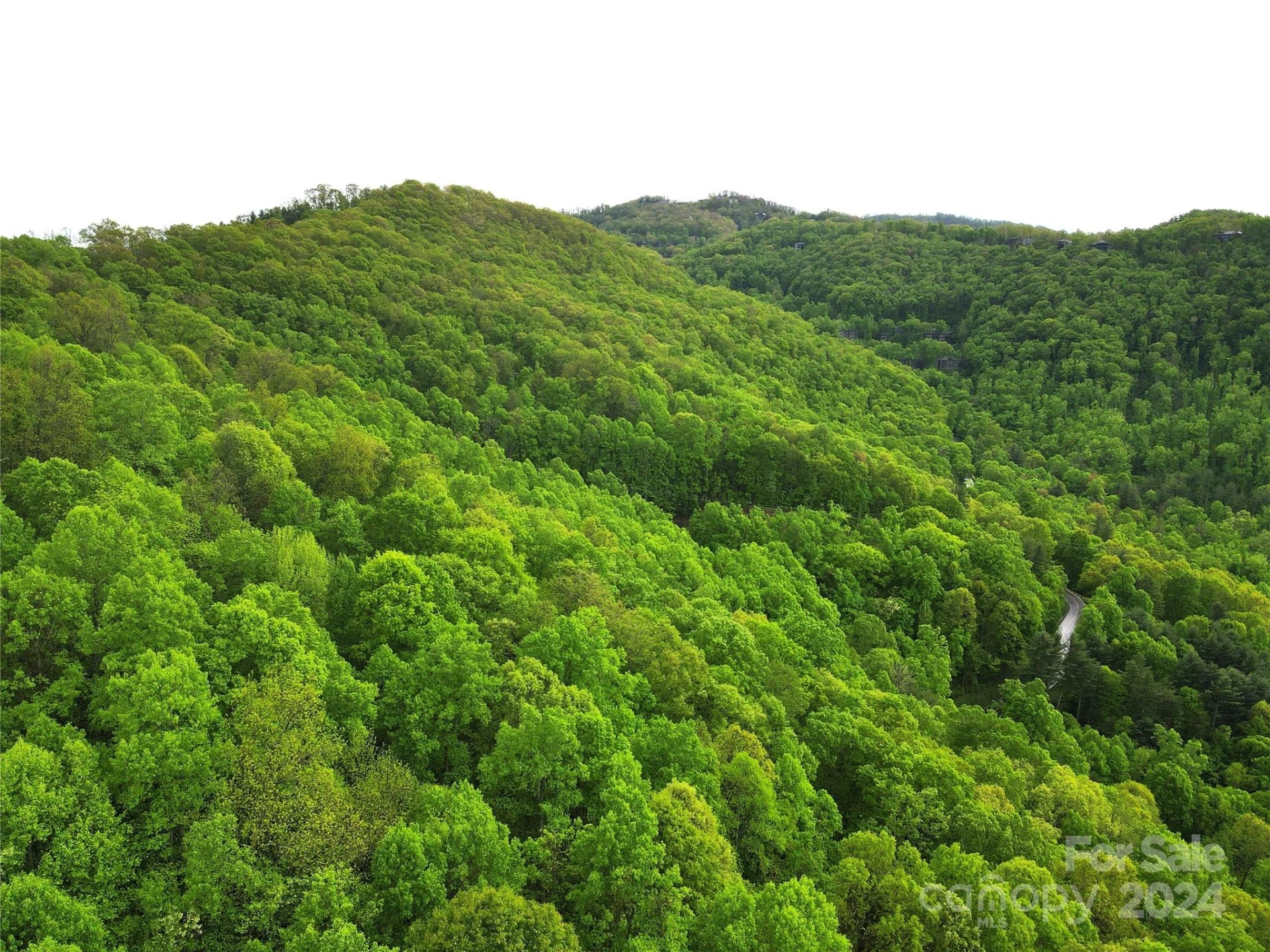 000 Mountain Air Drive - Photo 13