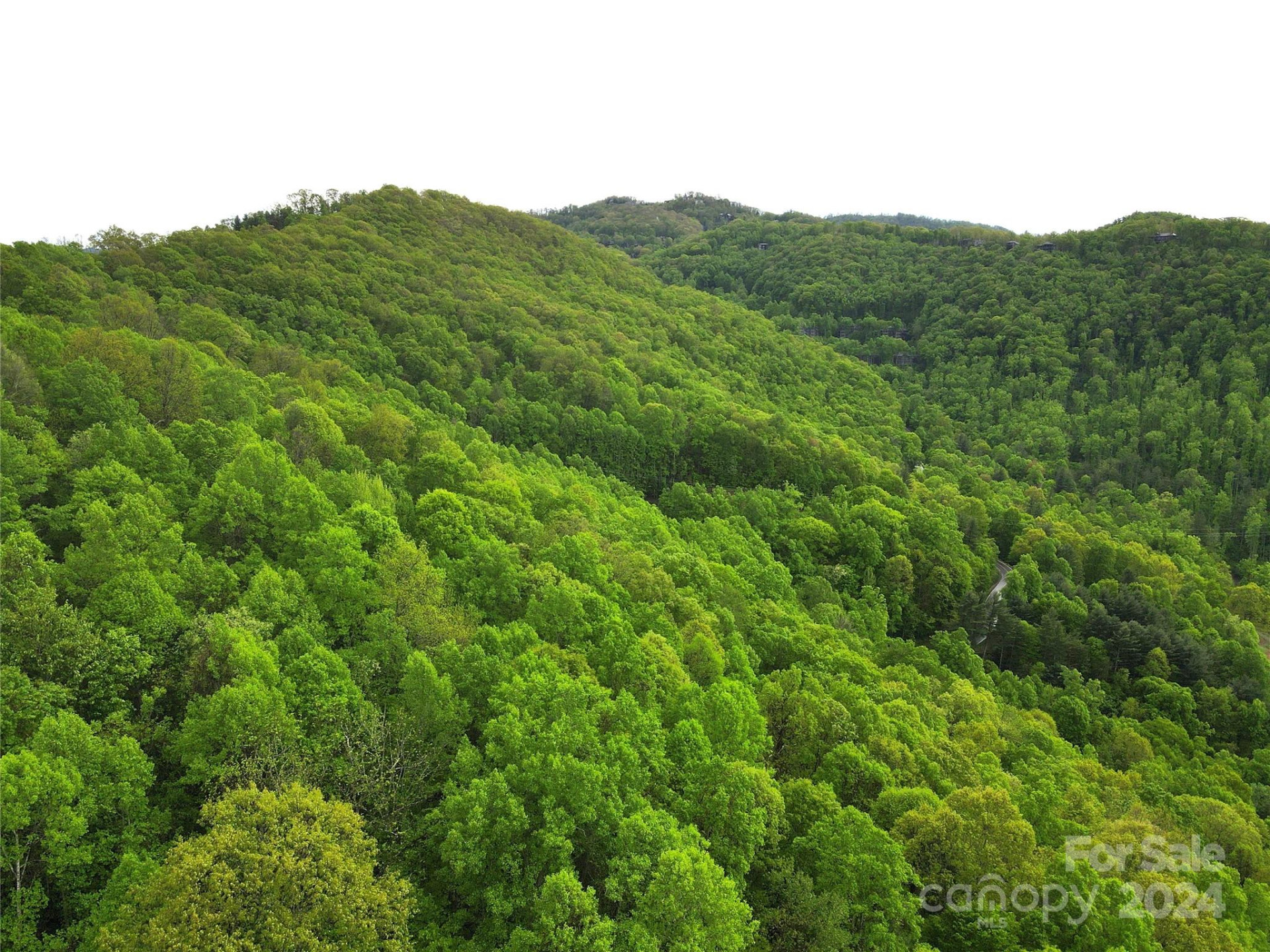 000 Mountain Air Drive - Photo 14