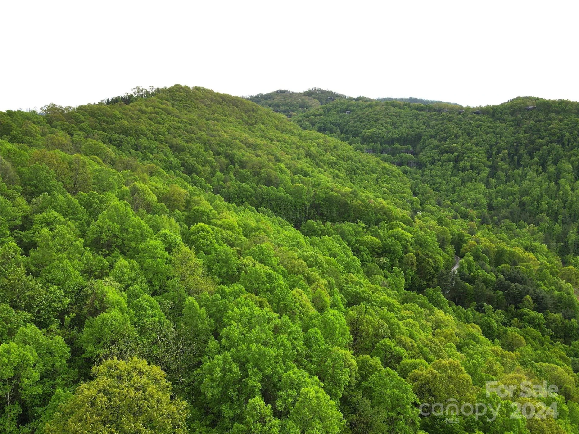 000 Mountain Air Drive - Photo 14