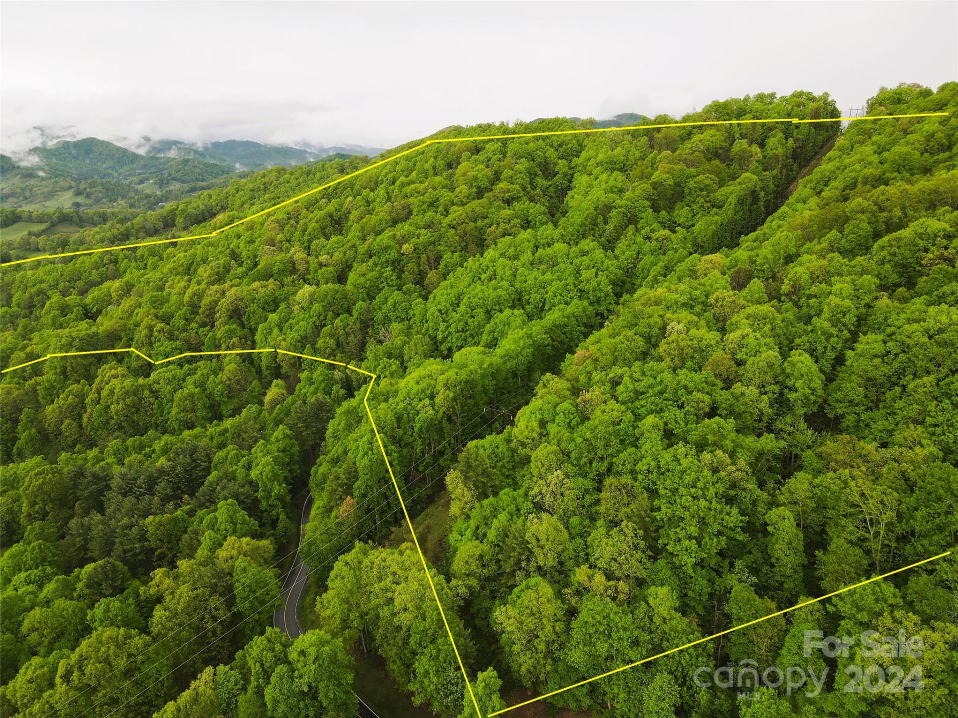 000 Mountain Air Drive - Photo 3