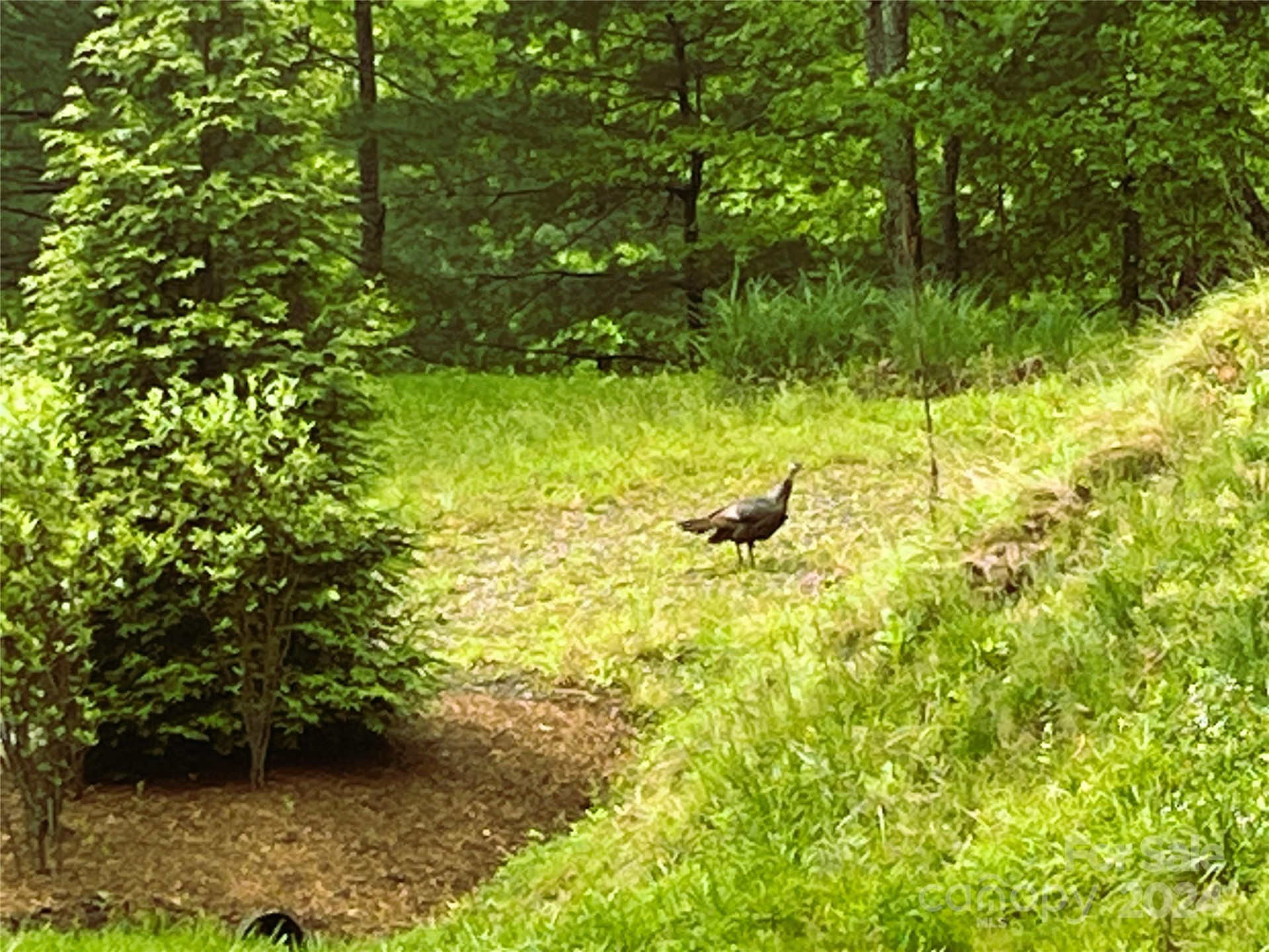 000 Mountain Air Drive - Photo 26