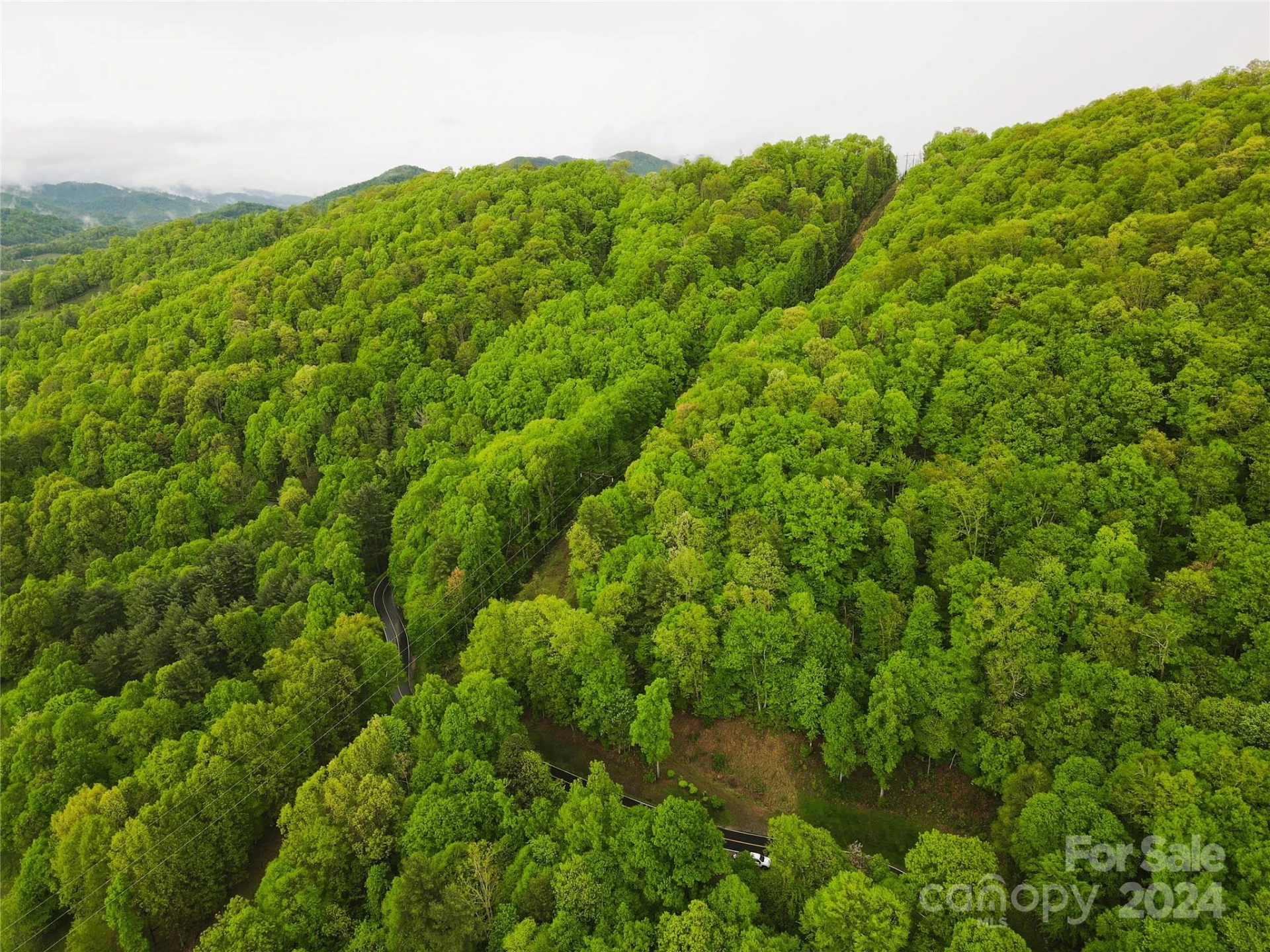 000 Mountain Air Drive - Photo 4