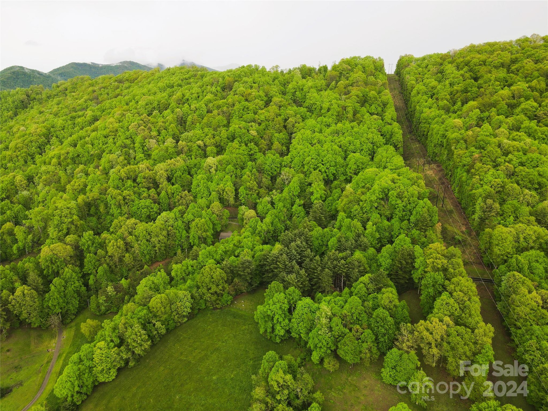 000 Mountain Air Drive - Photo 6