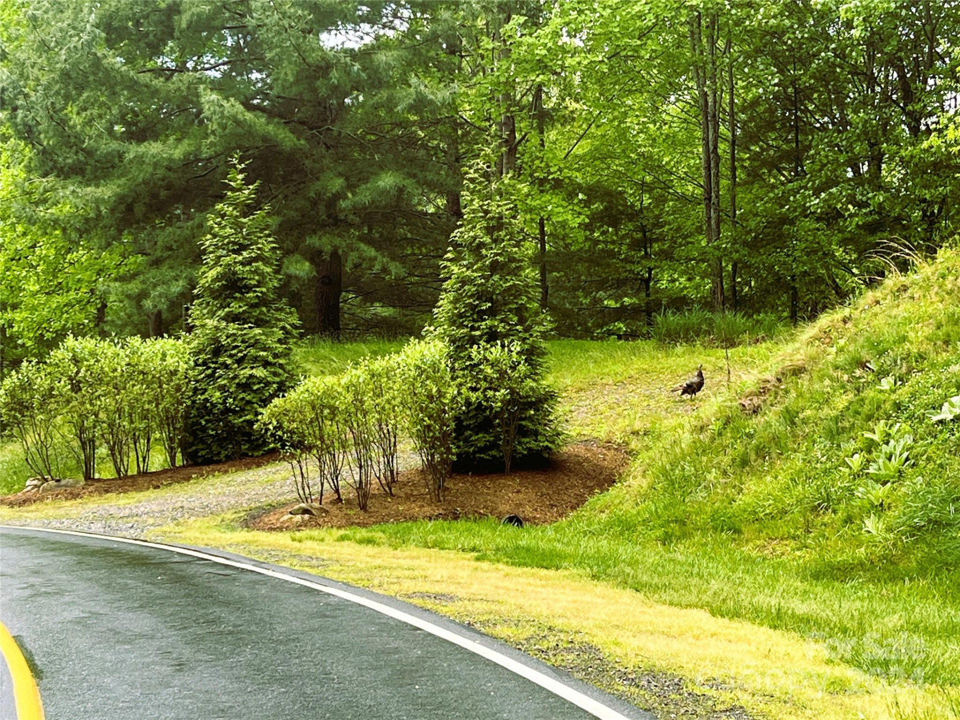 000 Mountain Air Drive - Photo 8