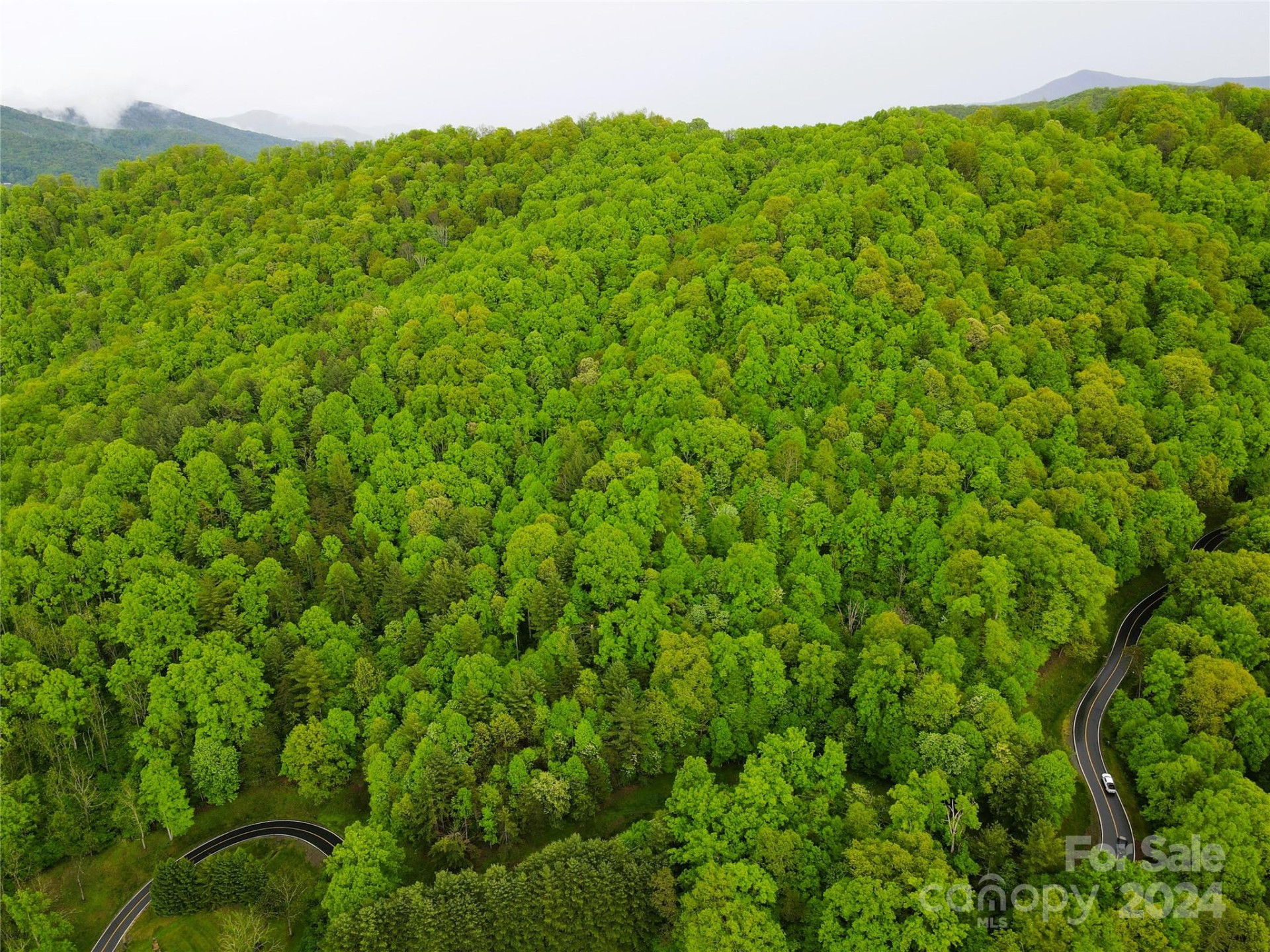 000 Mountain Air Drive - Photo 10