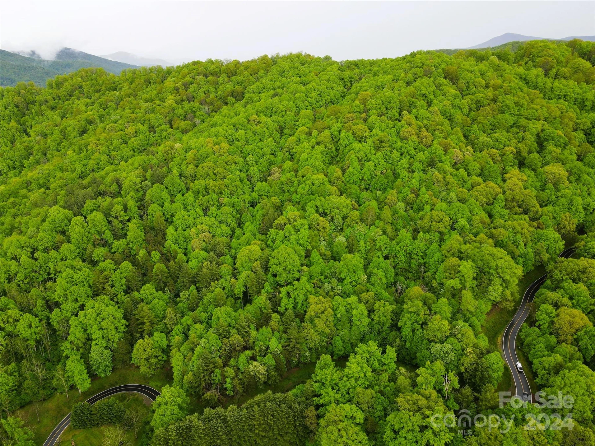 000 Mountain Air Drive - Photo 10